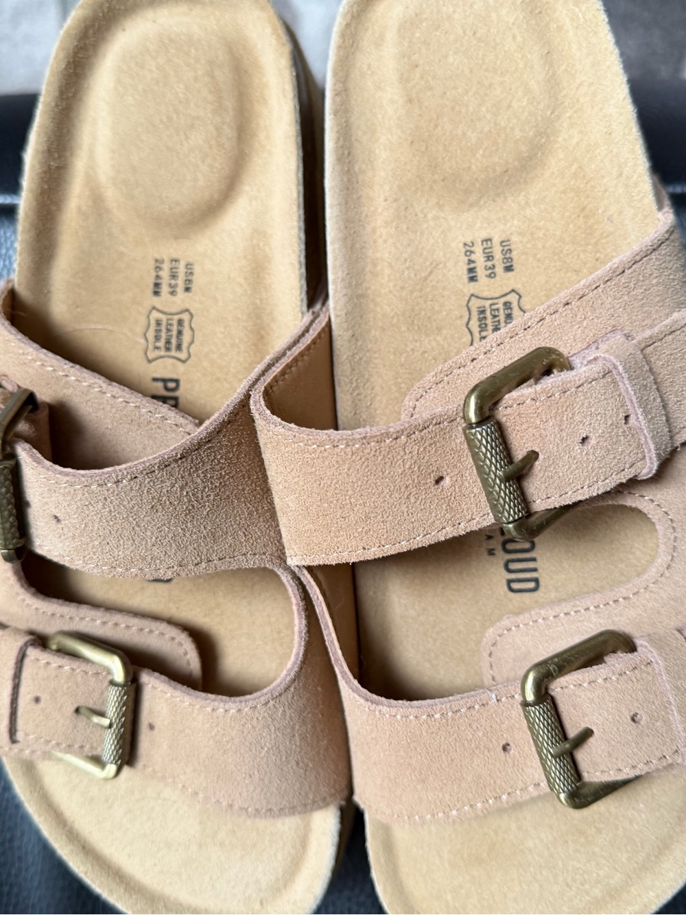 Project Cloud Women Suede Double-Buckle Slide Sandals in Blush